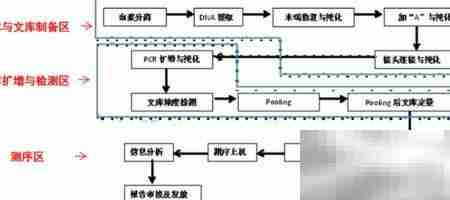 产前筛查实验室设计