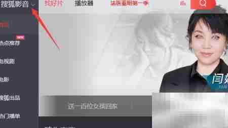 Matroska媒体设置指南