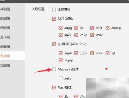 Matroska媒体设置指南