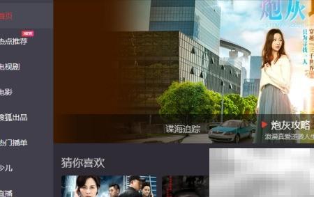 Matroska媒体设置详解与使用教程