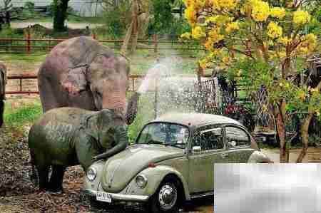 洗车美容店定位策略