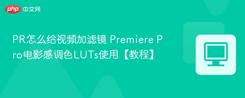 PR电影感调色教程：LUTs使用技巧