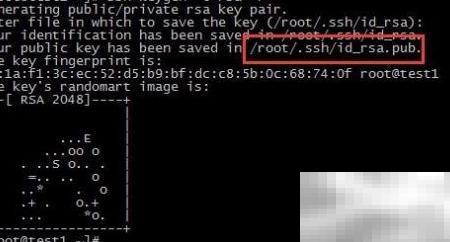SSH免密登录设置步骤详解