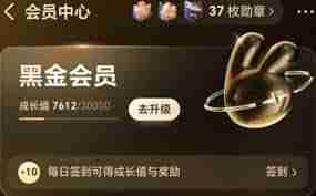 如何获得美团黑金会员