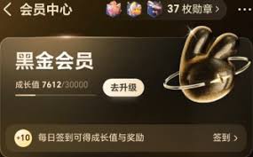 美团黑金会员开通方法详解