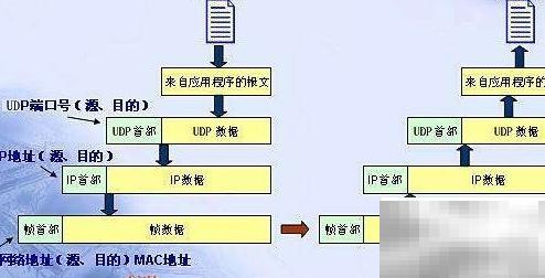 万物联动，IP连接新纪元