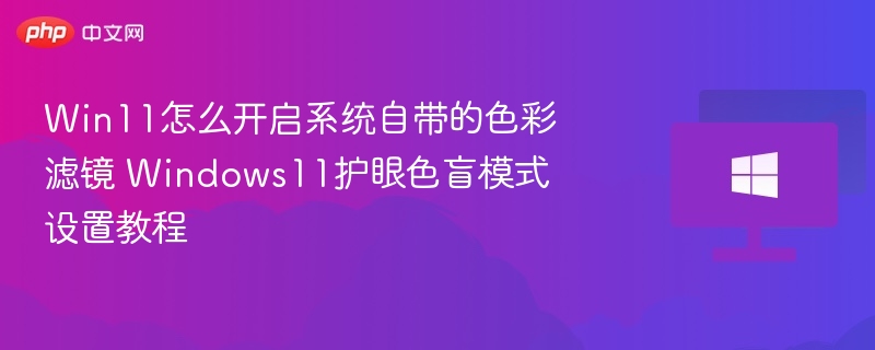 Win11色彩滤镜开启教程详解
