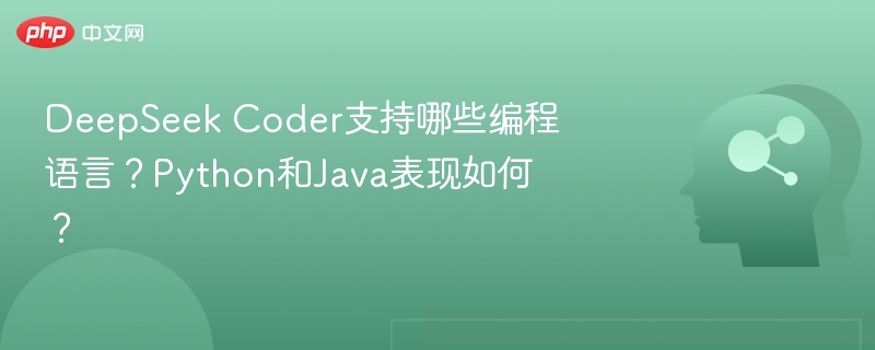 DeepSeekCoder支持哪些语言？Python和Java表现如何？