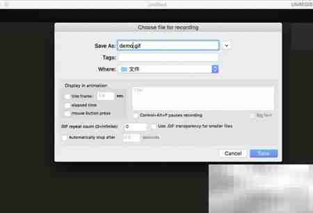 LICEcap：双平台GIF录屏神器
