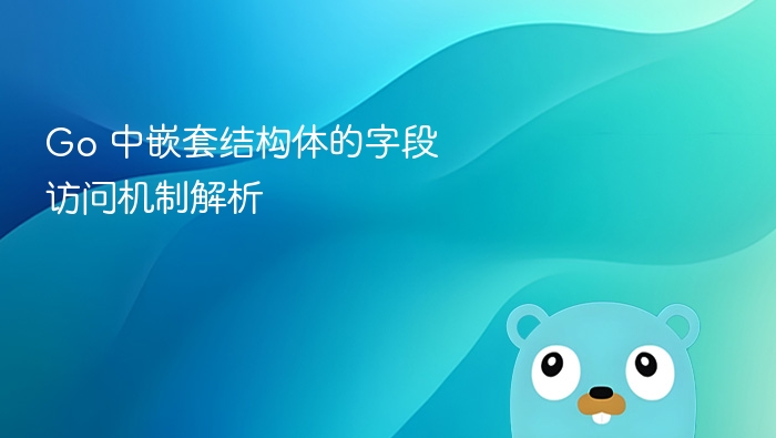 Go 中嵌套结构体的字段访问机制解析
