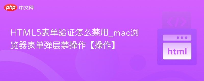 HTML5表单验证禁用技巧及Mac弹层解决方法
