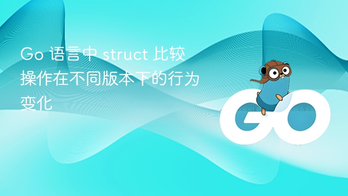 Gostruct变化对比与解析指南