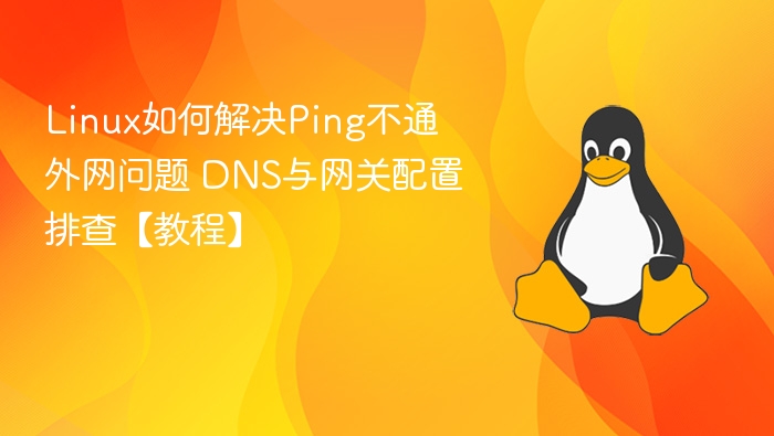 Linux无法ping通外网？DNS与网关排查教程