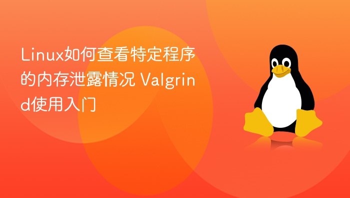 Linux内存泄漏检测，Valgrind使用详解