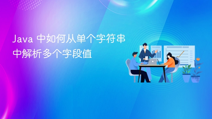 Java 中如何从单个字符串中解析多个字段值
