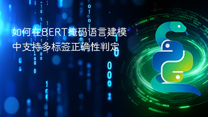 如何在BERT掩码语言建模中支持多标签正确性判定