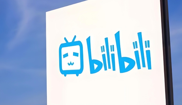 B站官网入口与登录教程分享