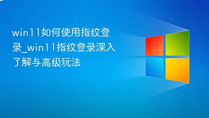 win11如何使用指纹登录_win11指纹登录深入了解与高级玩法