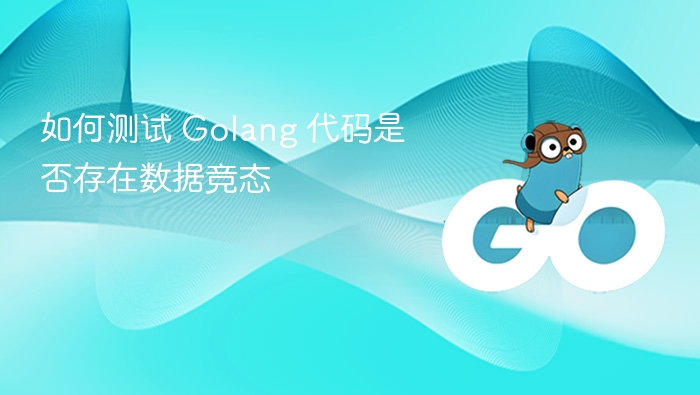 Go代码竞态检测方法全解析