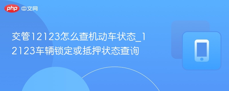 交管12123怎么查机动车状态_12123车辆锁定或抵押状态查询