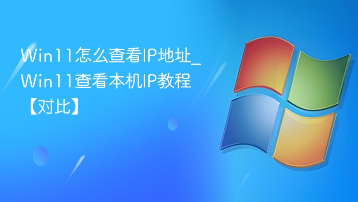 Win11怎么查看IP地址_Win11查看本机IP教程【对比】