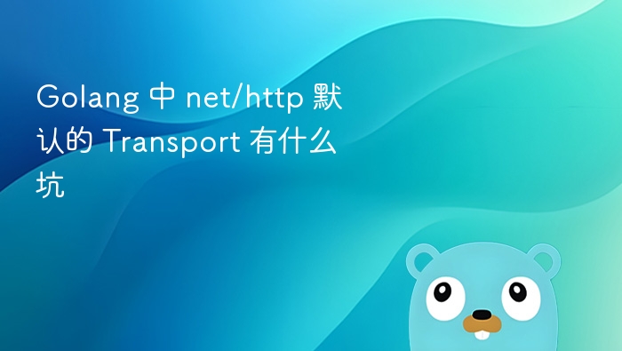 Golang 中 net/http 默认的 Transport 有什么坑