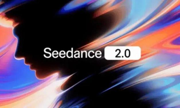 Seedance2.0API报错502/403怎么修？接口调用故障排查手册