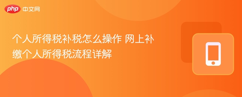 个人所得税补税怎么操作 网上补缴个人所得税流程详解