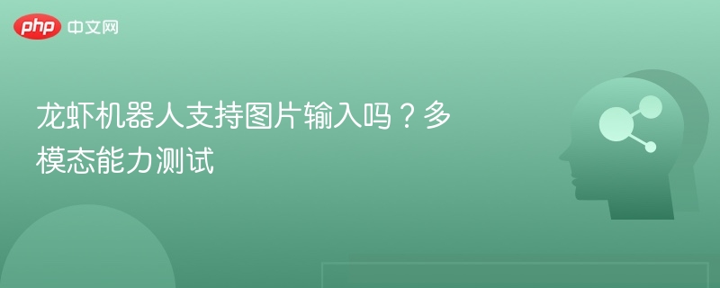 龙虾机器人支持图片输入吗?多模态能力测试