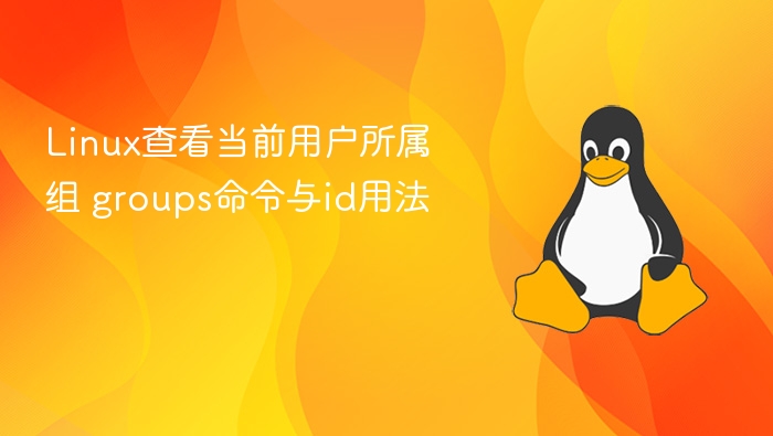 Linux查看当前用户所属组 groups命令与id用法