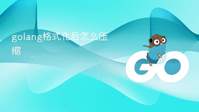 golang格式化后怎么压缩