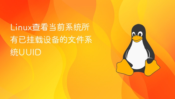 Linux查看当前系统所有已挂载设备的文件系统UUID