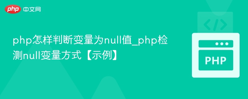 php怎样判断变量为null值_php检测null变量方式【示例】