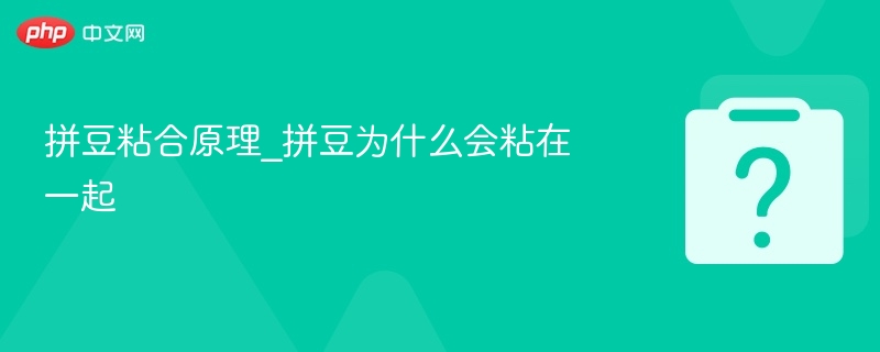 拼豆粘合原理_拼豆为什么会粘在一起