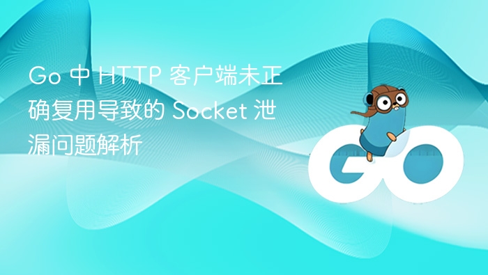 GoHTTP客户端Socket泄漏解决方法