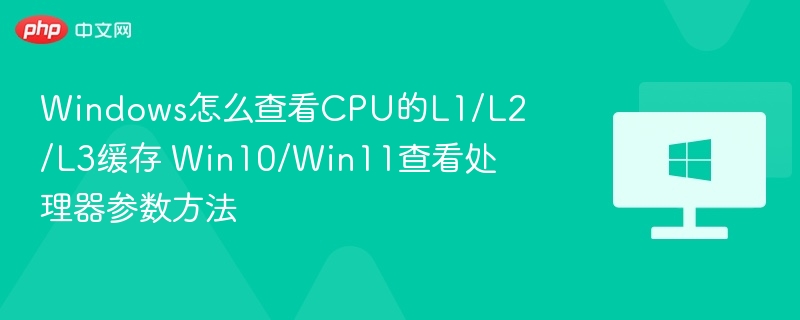 Windows怎么查看CPU的L1/L2/L3缓存 Win10/Win11查看处理器参数方法