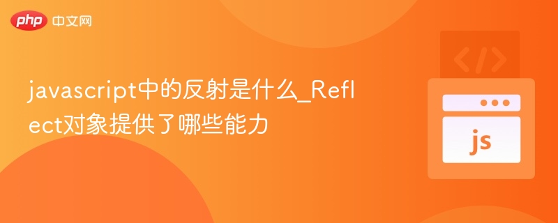javascript中的反射是什么_Reflect对象提供了哪些能力
