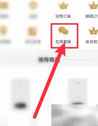 壹品慧如何转人工客服详解
