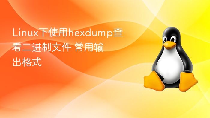 Linux下hexdump查看二进制常用方法