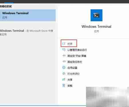 Windows Terminal 安装指南