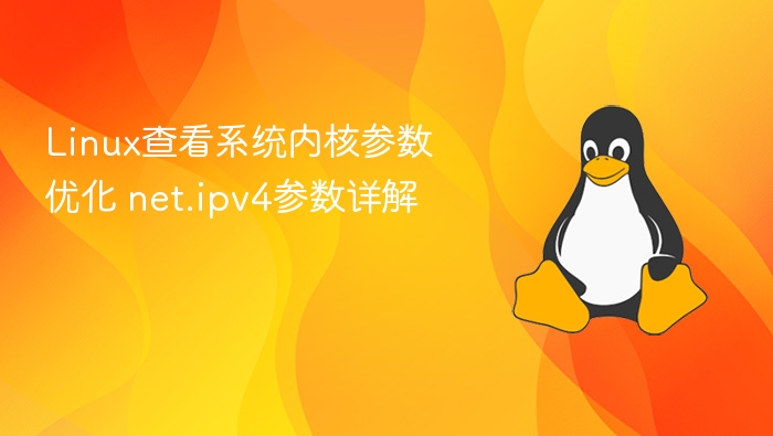 Linux查看系统内核参数优化 net.ipv4参数详解
