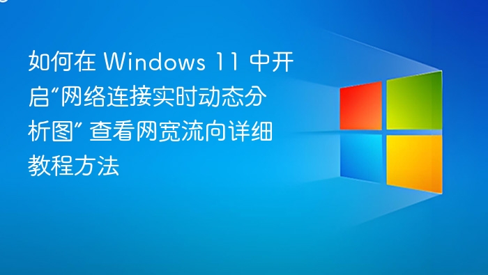 Windows 11 网络实时分析图开启教程