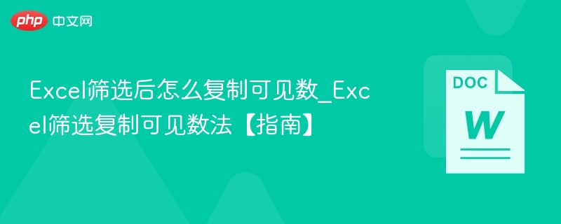Excel筛选后怎么复制可见数_Excel筛选复制可见数法【指南】