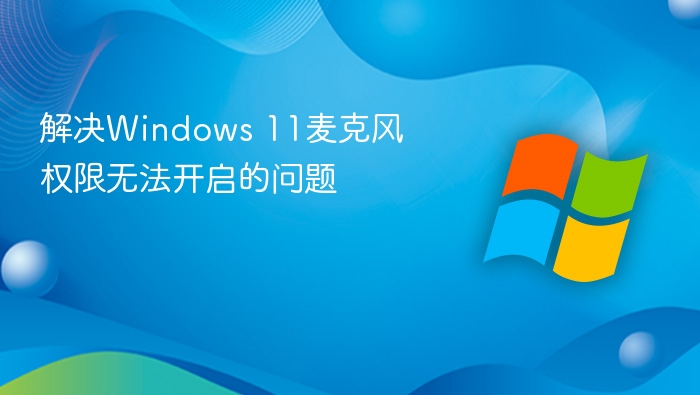 Windows 11麦克风权限无法开启解决方法