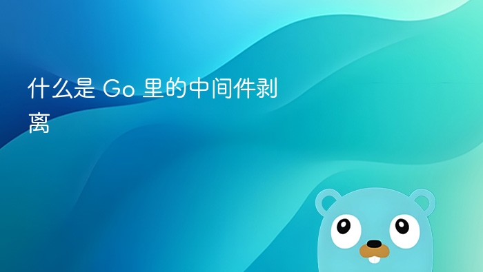 什么是 Go 里的中间件剥离
