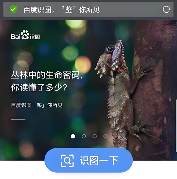 百度识图怎么搜证件照背景 百度识图更换背景方法【指南】