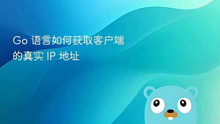 Go 获取客户端真实 IP 方法解析