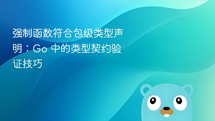 Go语言类型契约验证技巧解析