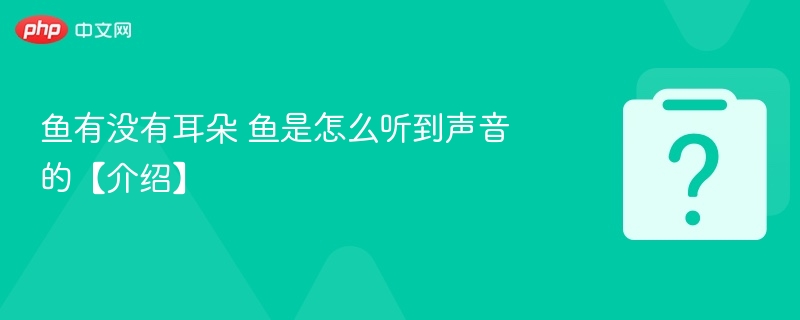 鱼有耳朵吗？鱼如何听声音？