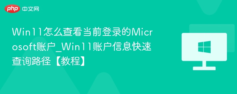 Win11怎么查看当前登录的Microsoft账户_Win11账户信息快速查询路径【教程】
